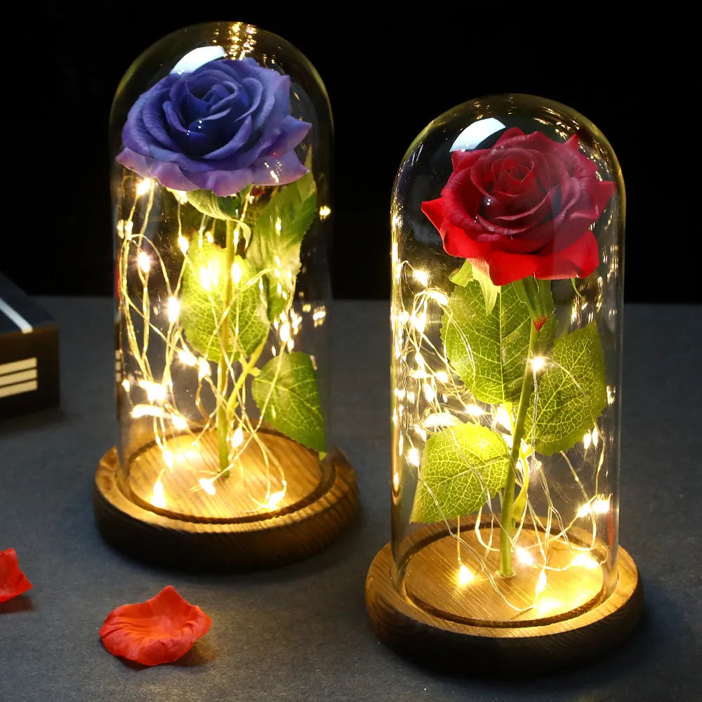Rose Flower With Fairy String Lights In Dome For Christmas Valentine's Day Gift