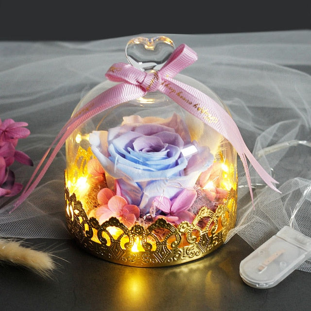 Beauty And The Beast Preserved Valentines Day Gift